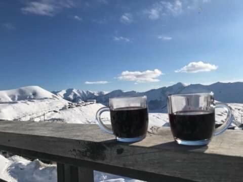 Gudauri Ski Studio المظهر الخارجي الصورة